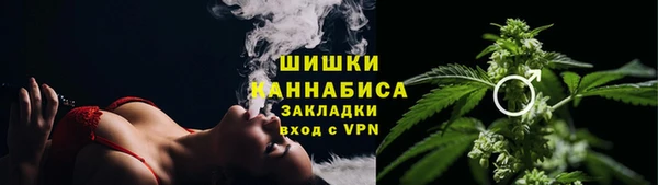 первитин Няндома