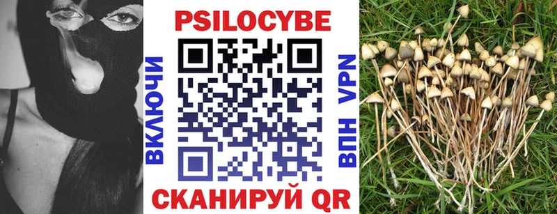 Галлюциногенные грибы Psilocybe  hydra   Холмск 