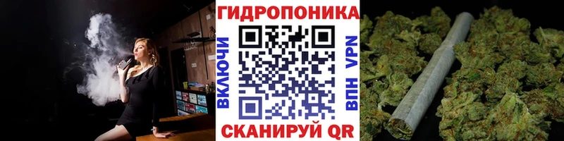 Шишки марихуана план  Холмск 